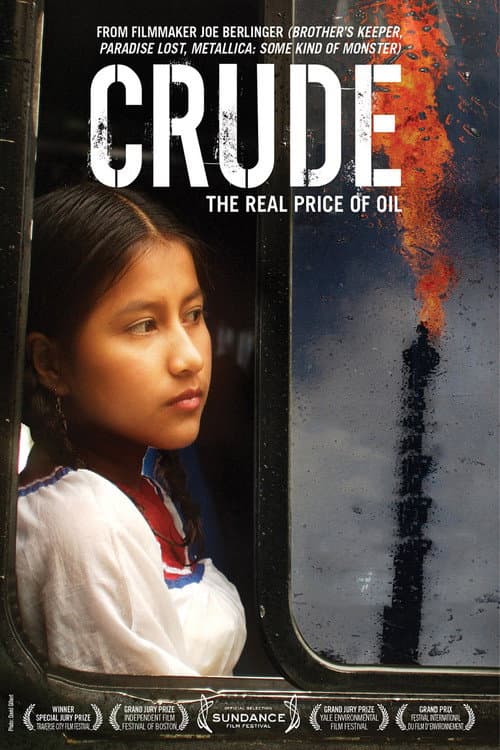 Crude (2009) poster