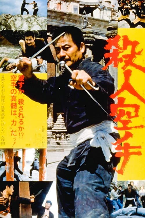 The Karate Professionals (1976) poster
