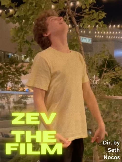 The Zev Filem () poster