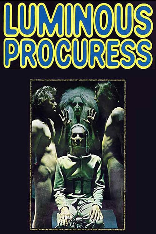 Luminous Procuress (1971) poster