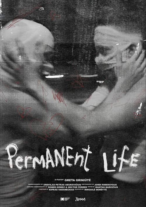 Permanent Life (2025) poster