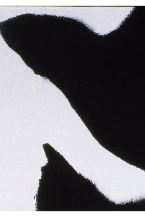 Errata (2005) poster