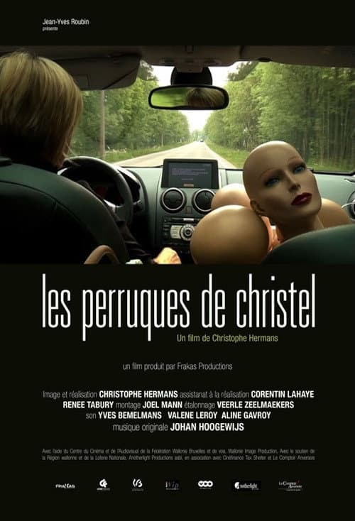 Les Perruques de Christel (2013) poster