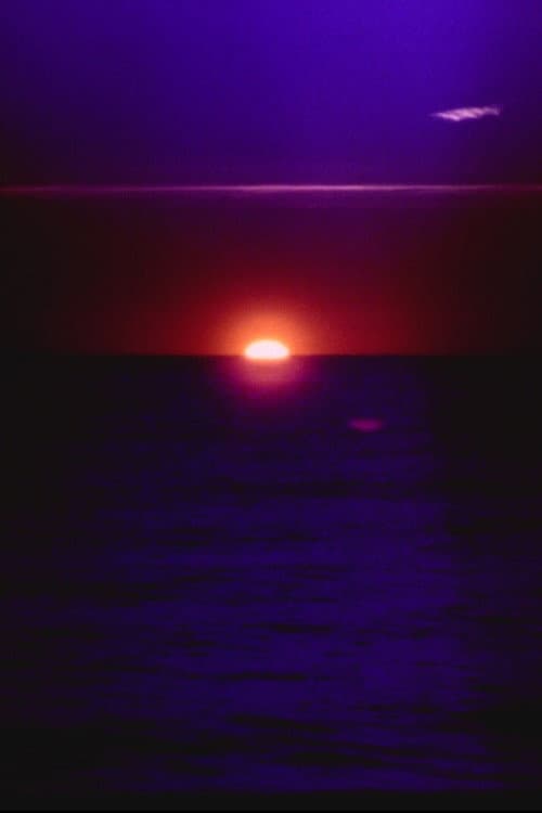 solar wave (2026) poster