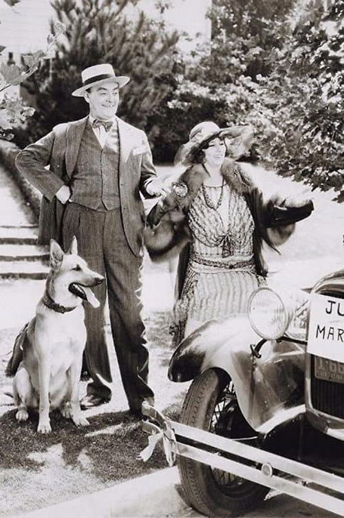 Honeymoon (1928) poster