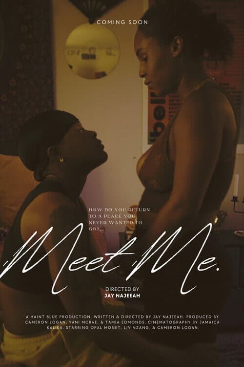 Meet Me. (2025) poster