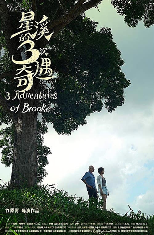 Xing Xi De San Ci Qi Yu (2019) poster