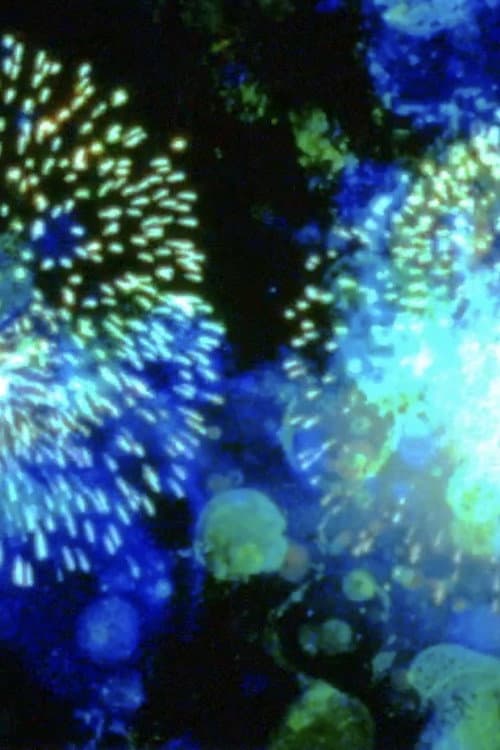 14 Juillet (2005) poster