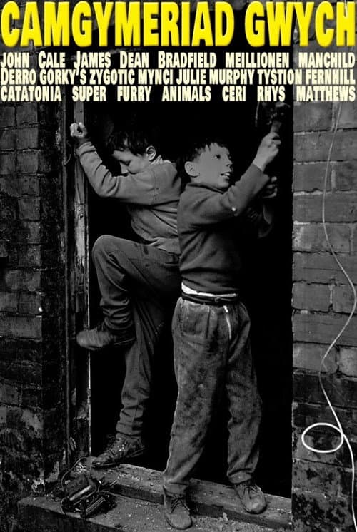 Camgymeriad Gwych (2000) poster
