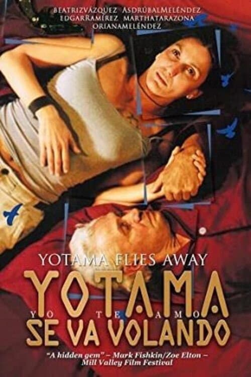 Yotama se va volando (2013) poster