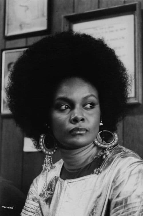 Tamara Dobson foto
