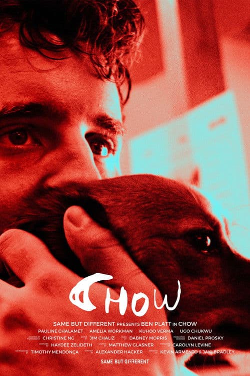 Chow (2024) poster