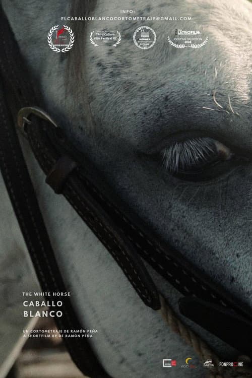Caballo Blanco (2023) poster