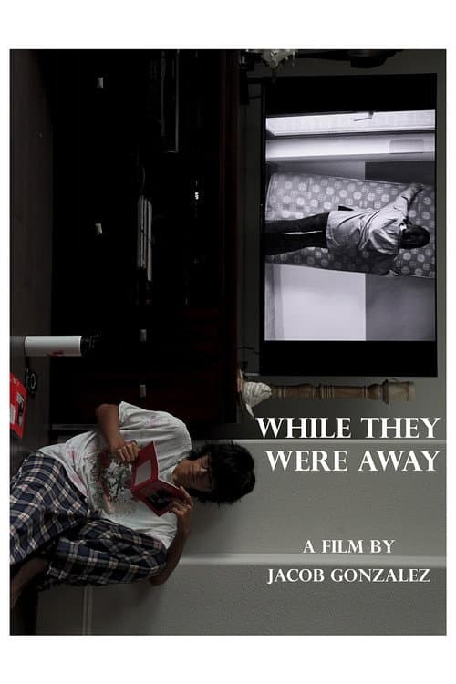 While They Were Away (2026) poster