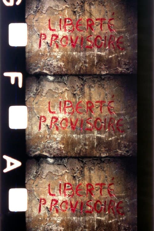 Liberté provisoire (1977) poster