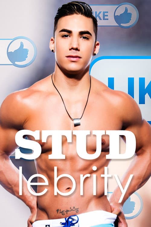 Studlebrity (2014) poster