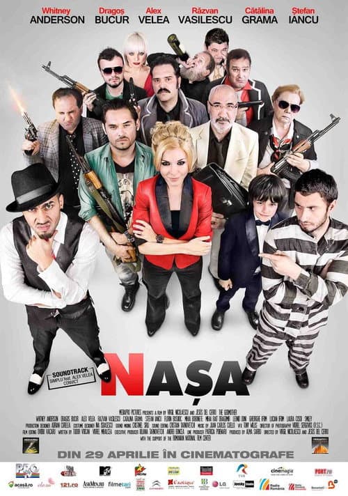 The Godmother (2011) poster