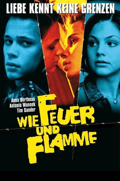 Wie Feuer und Flamme (2001) poster
