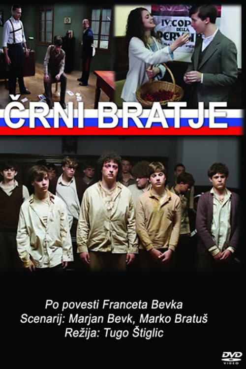 Črni bratje (2010) poster