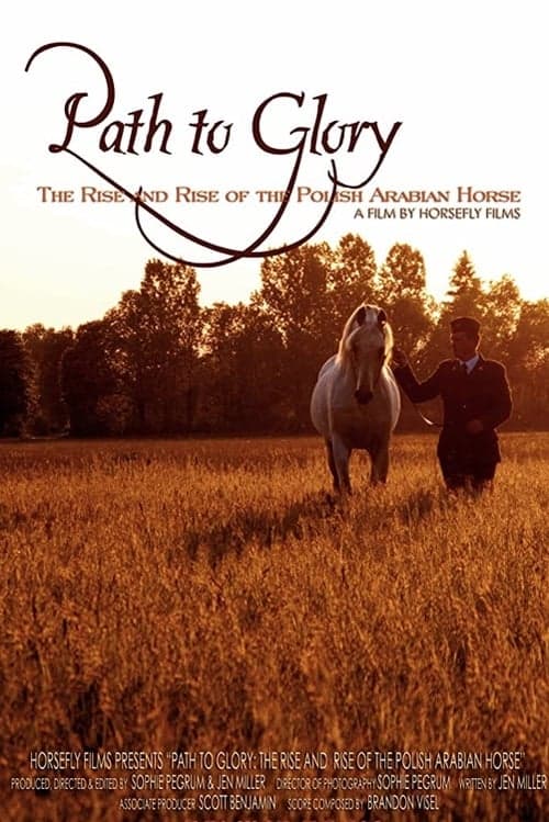 Path to Glory: The Rise and Rise of the Polish Arabian Horse (2011) poster