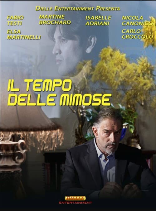 Il tempo delle mimose (2013) poster