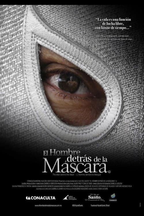 El Hombre detrás de la Máscara (2013) poster
