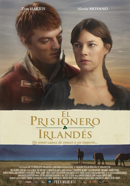 El prisionero irlandés (2015) poster