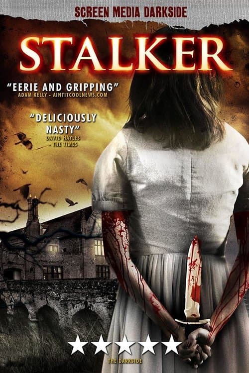 Stalker (2010) poster