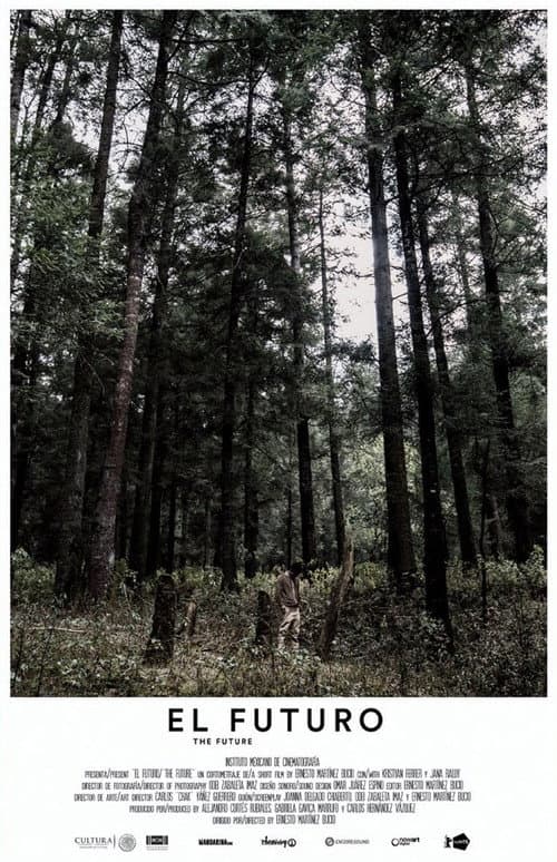 El futuro (2018) poster