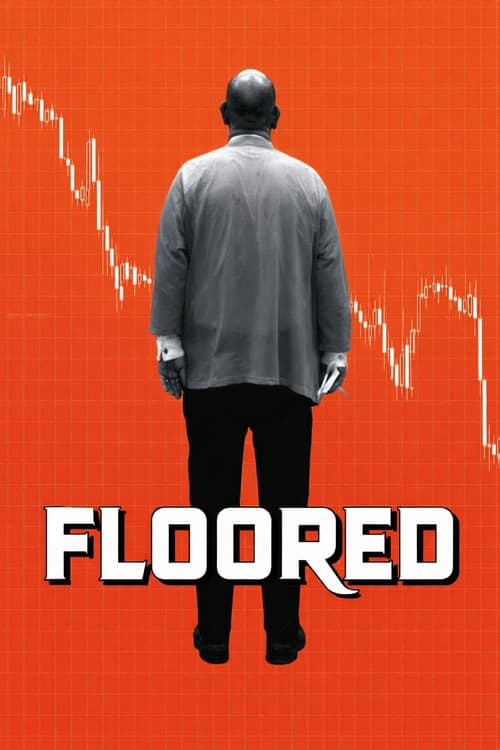 Floored (2009) poster