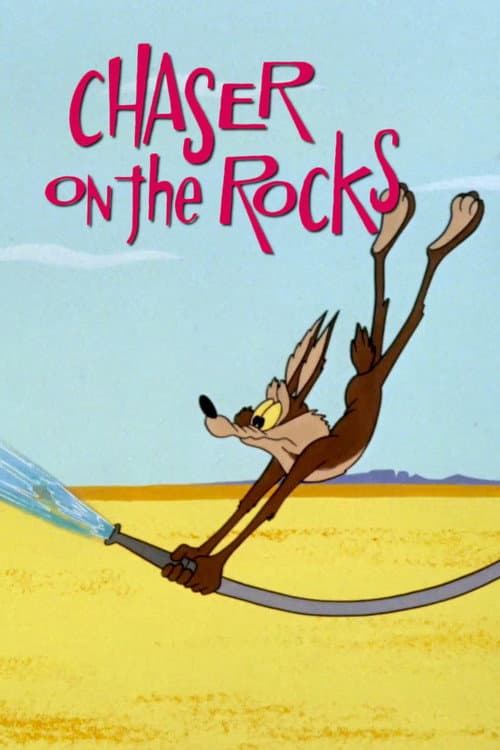Chaser on the Rocks (1965) poster