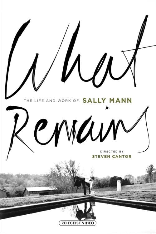What Remains (2005) poster
