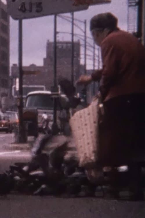 Pigeon Lady (1966) poster