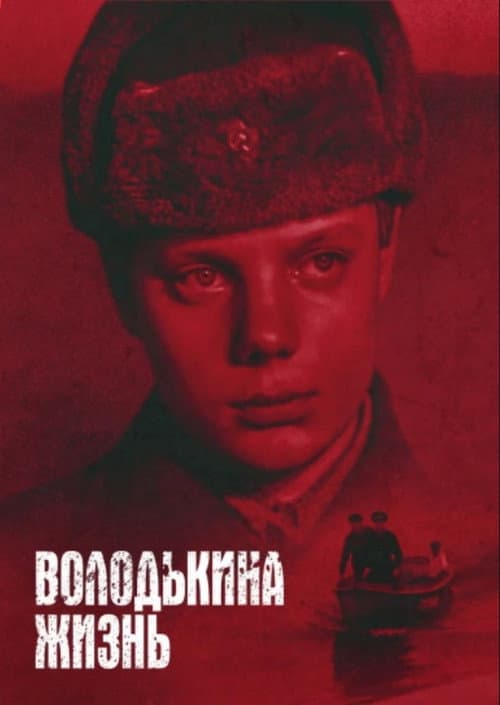 Володькина жизнь (1984) poster