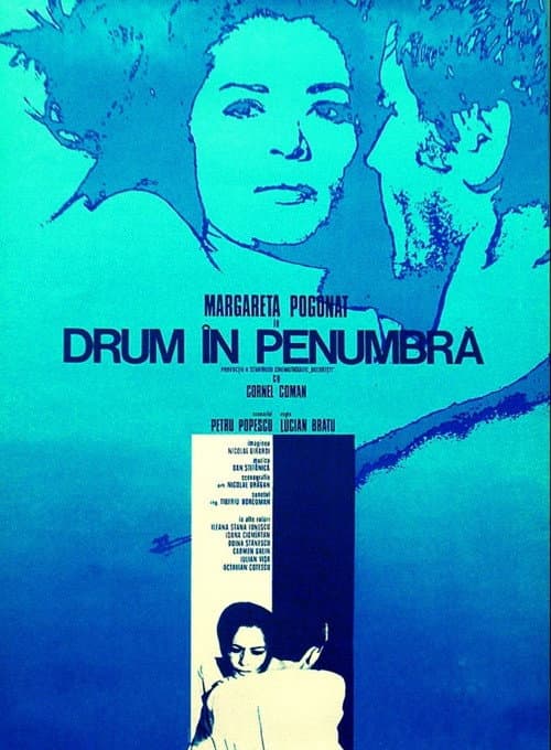 Drum în penumbră (1972) poster