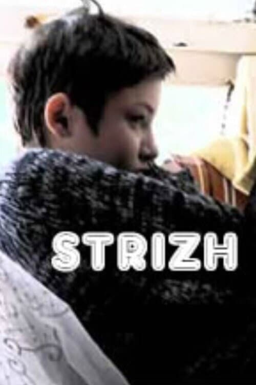 Стриж (2008) poster