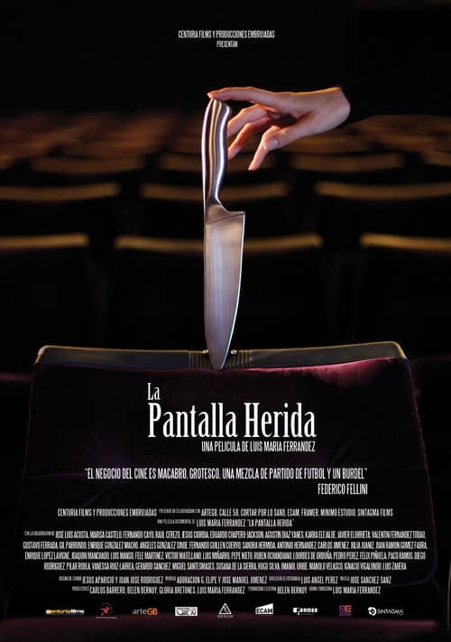 La pantalla herida (2014) poster