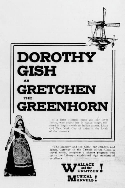 Gretchen the Greenhorn (1916) poster