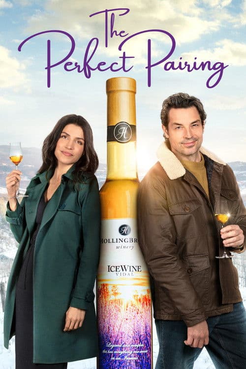 The Perfect Pairing (2022) poster