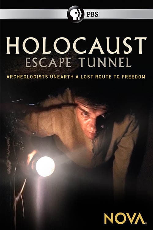 Holocaust Escape Tunnel (2017) poster