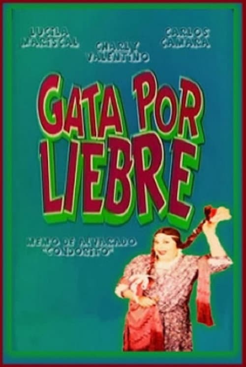 Gata por liebre (1991) poster