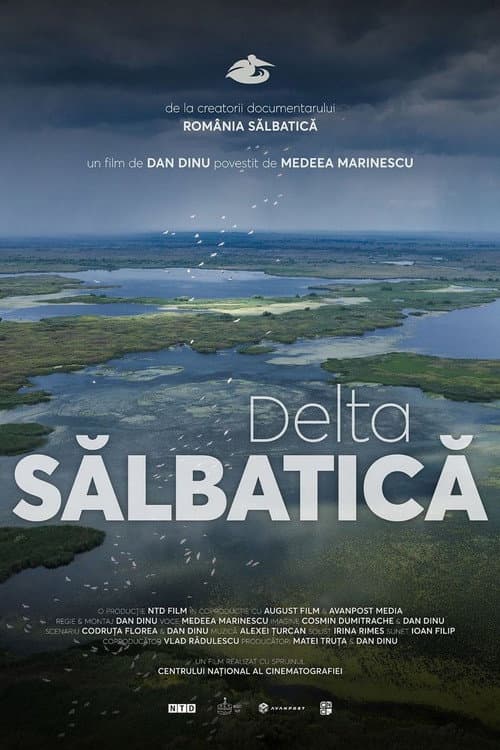 Delta Sălbatică (2026) poster
