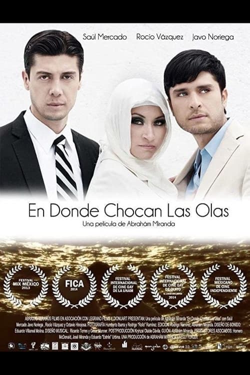 En donde chocan las olas (2013) poster