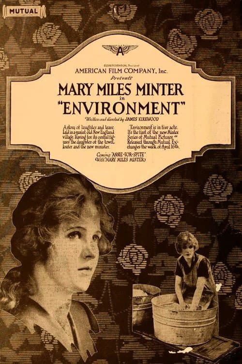 Environment (1917) poster