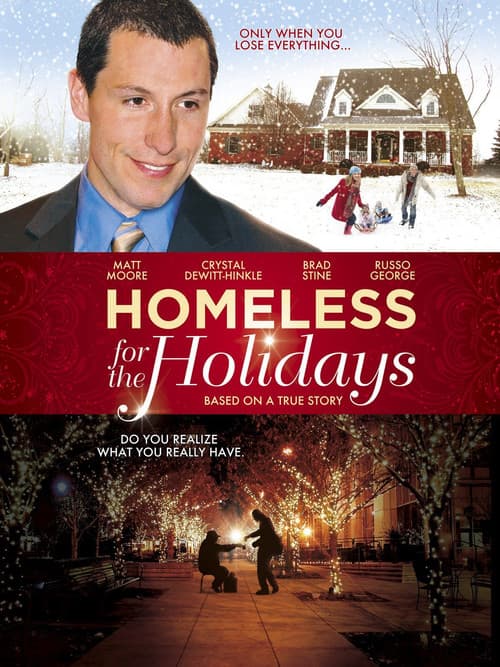 Homeless for the Holidays (2009) poster