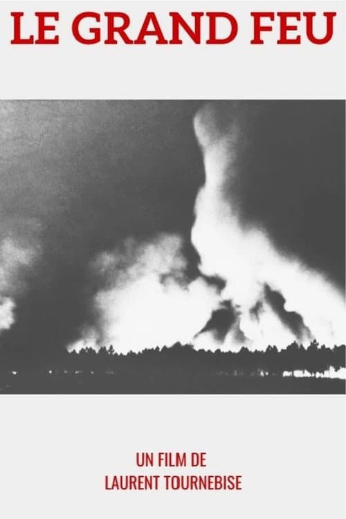 1949 : le Grand feu (2025) poster