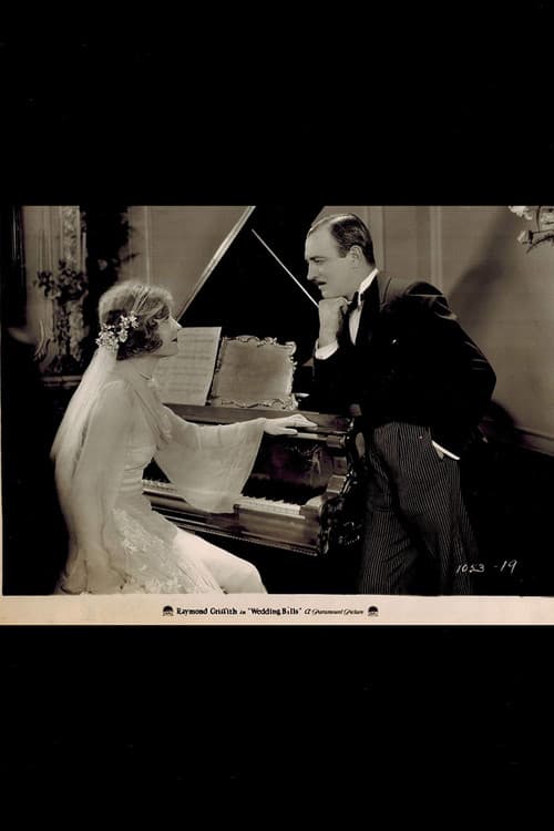Wedding Bills (1927) poster