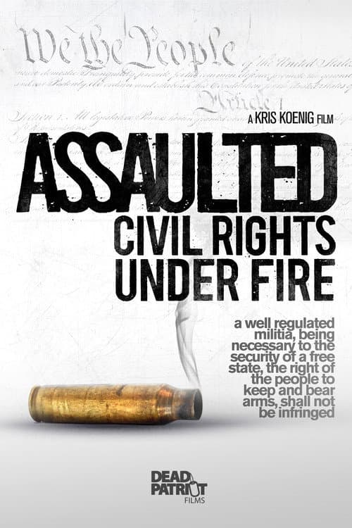 Assaulted: Civil Rights Under Fire (2013) poster