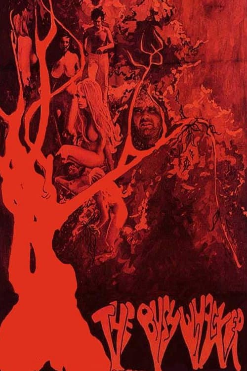The Bushwhacker (1968) poster