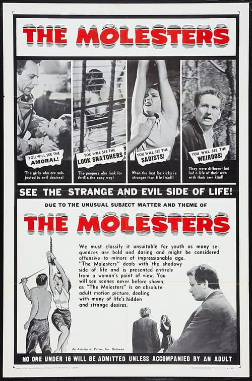 Der Sittlichkeitsverbrecher (1963) poster